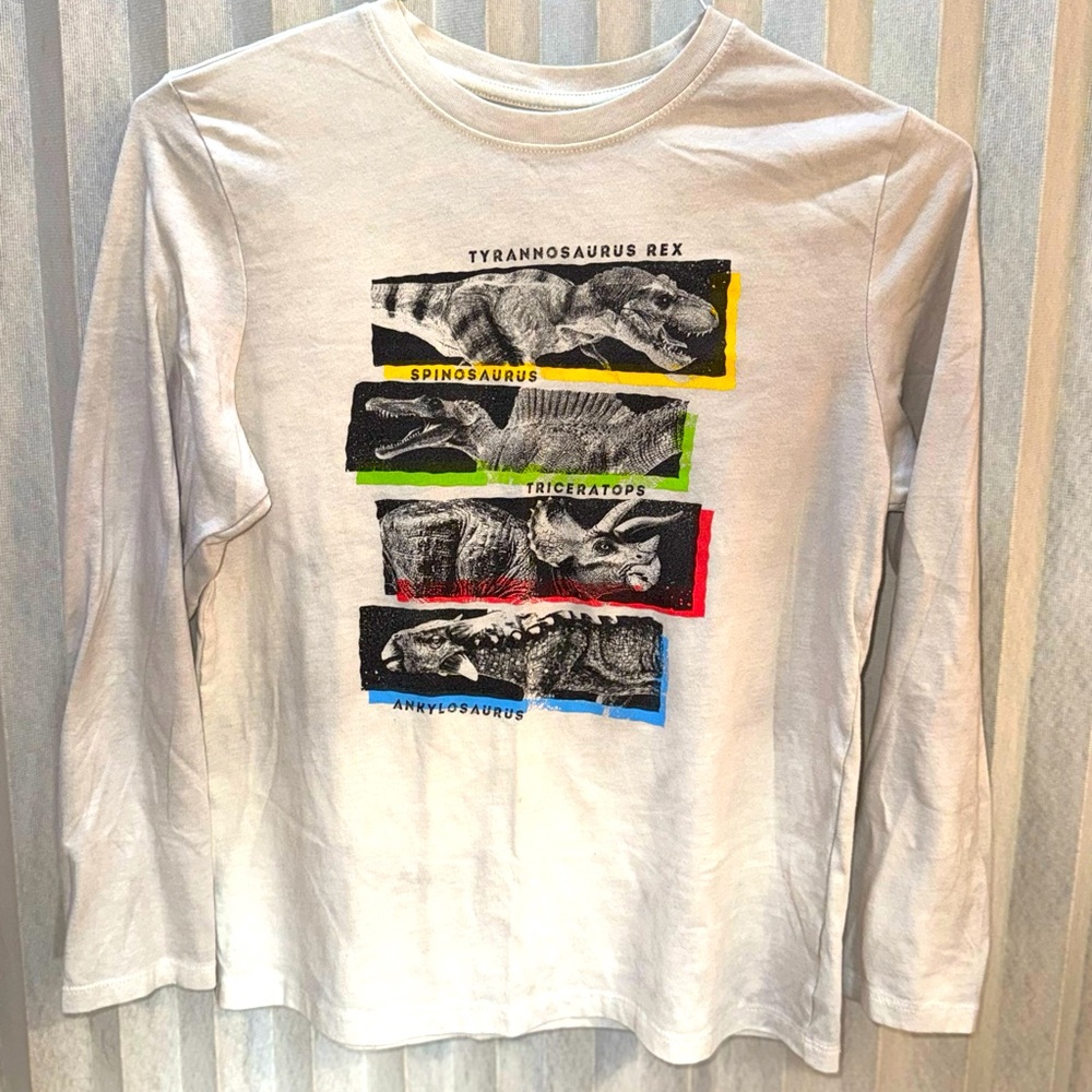 Along sleeve dinosaur t-shirt